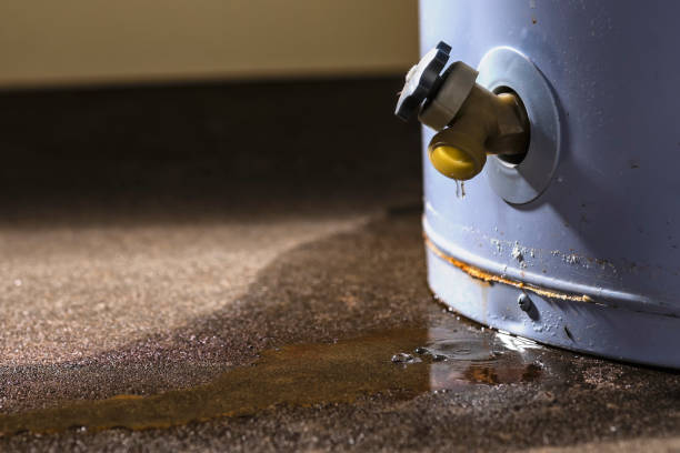 Best Commercial water damage restoration  in Janesville, CA