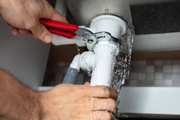 Best Professional water damage repair  in Janesville, CA