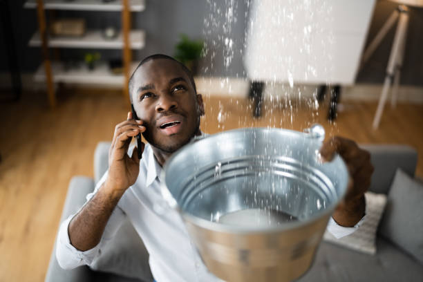 Best Flooded house restoration  in Janesville, CA