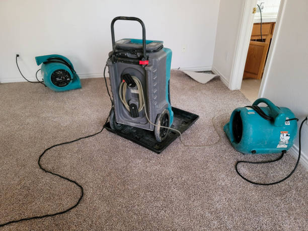  Janesville, CA Water damage restoration Pros