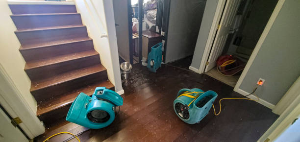 Best Emergency water damage restoration  in Janesville, CA