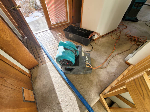 Best Water damage restoration experts  in Janesville, CA