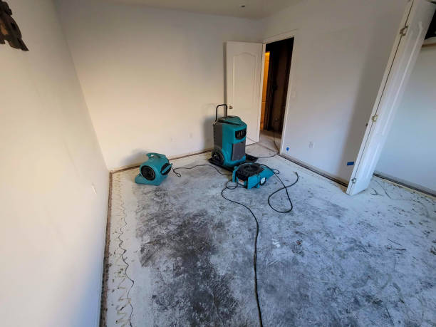 Best Residential water damage restoration  in Janesville, CA