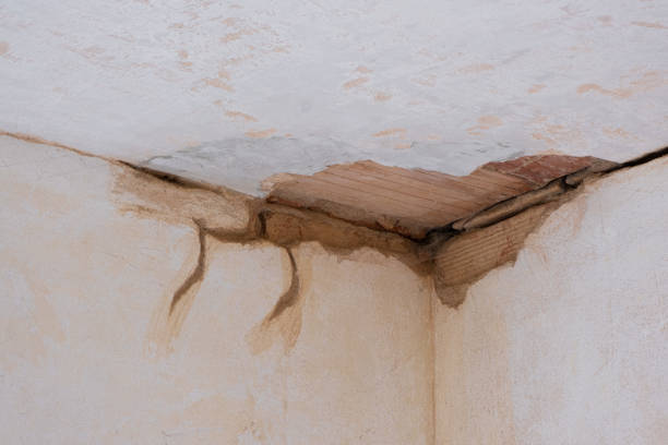Reliable Janesville, CA Water damage restoration Solutions