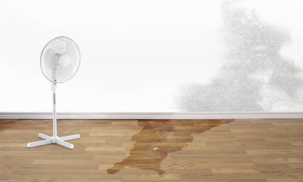 Best Sewage cleanup and water damage restoration  in Janesville, CA