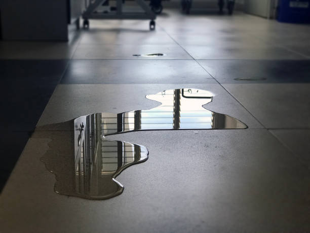 Water damage restoration experts in Janesville, CA