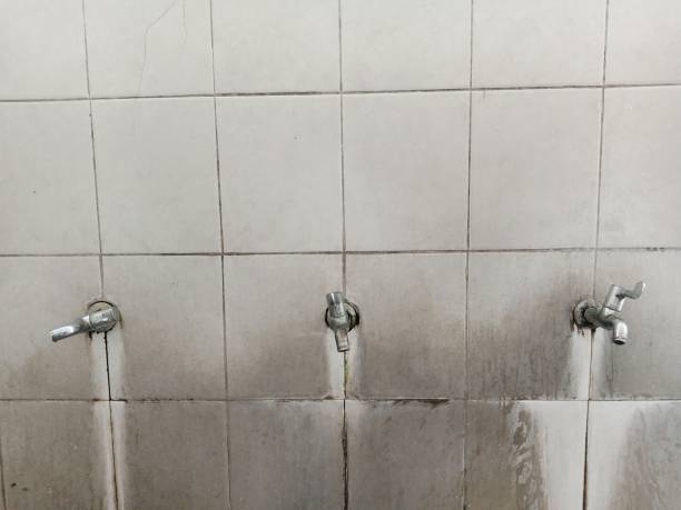 Best Water damage cleanup near me  in Janesville, CA