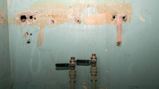 Best Fire Damage Restoration  in Janesville, CA