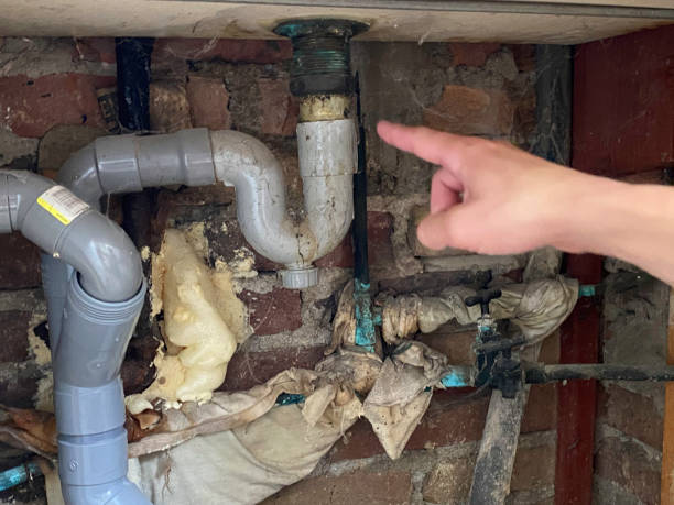 Best Water damage restoration insurance claims  in Janesville, CA