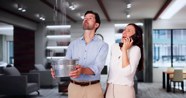 Best Local water damage restoration  in Janesville, CA
